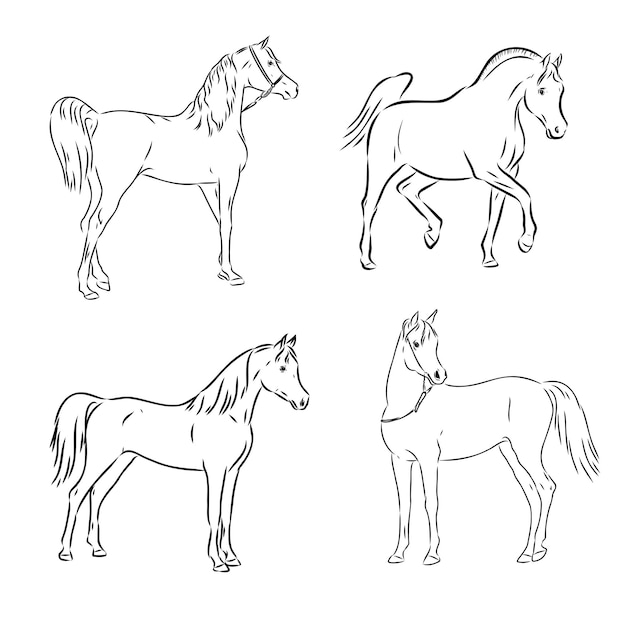 Un Dessin Ou Une Illustration De Couleur De Vecteur De Croquis De Cheval Noir