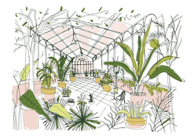 Dessin De L'intérieur Du Jardin Botanique Tropical Plein De Plantes Cultivées Avec Un Feuillage Luxuriant