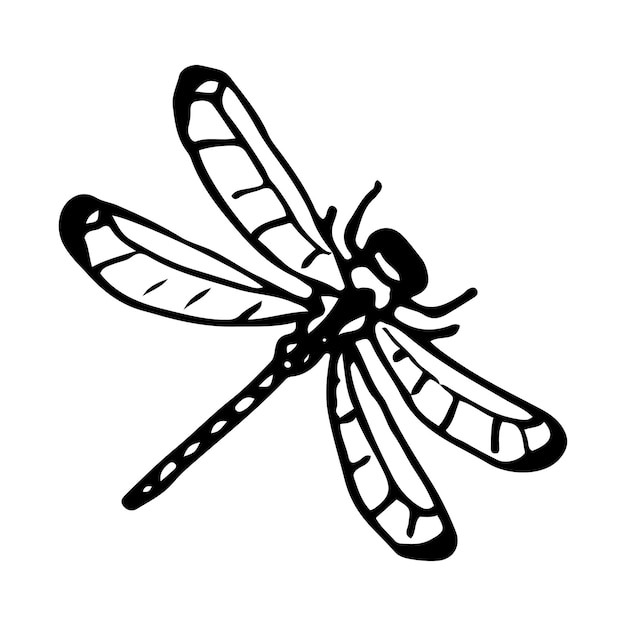 Dessin de libellule Insecte volant ailé Illustration dessinée à la main