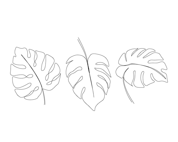 Dessin en ligne continue d'une feuille de monstera