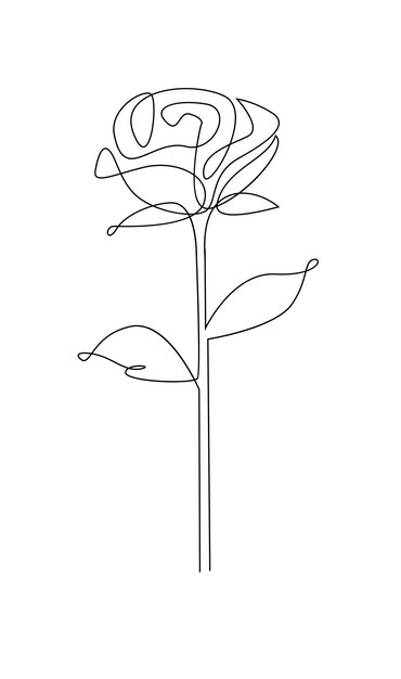 Vecteur un dessin en ligne de rose de jardin avec des feuilles dessiné à la main.
