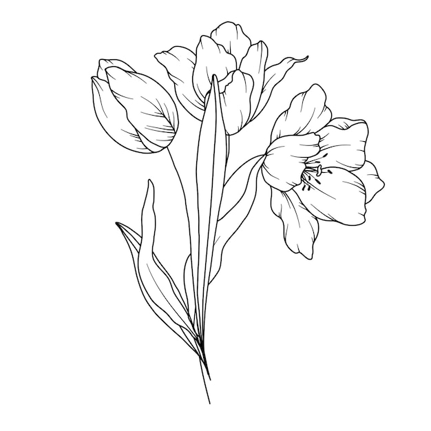 Le Dessin En Ligne De Tulipes Bouquets De Fleurs Noirs Et Blancs Page De Coloriage