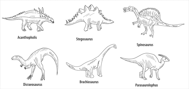 Dessin De Lignes Et De Hachures 6 Dessins De Dinosaures Illustration Vectorielle. Parasaurolophus, Brachiosaurus, Tour