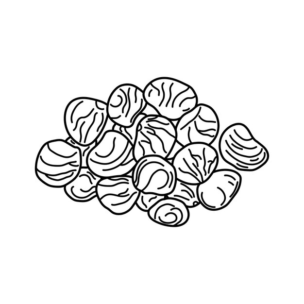 Vecteur dessin à la main des enfants dessinent des vecteurs illustration des noix de saba dans un style de dessin animé isolé