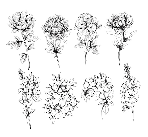 Dessin à La Main De Fleurs Et Croquis Noir Et Blanc