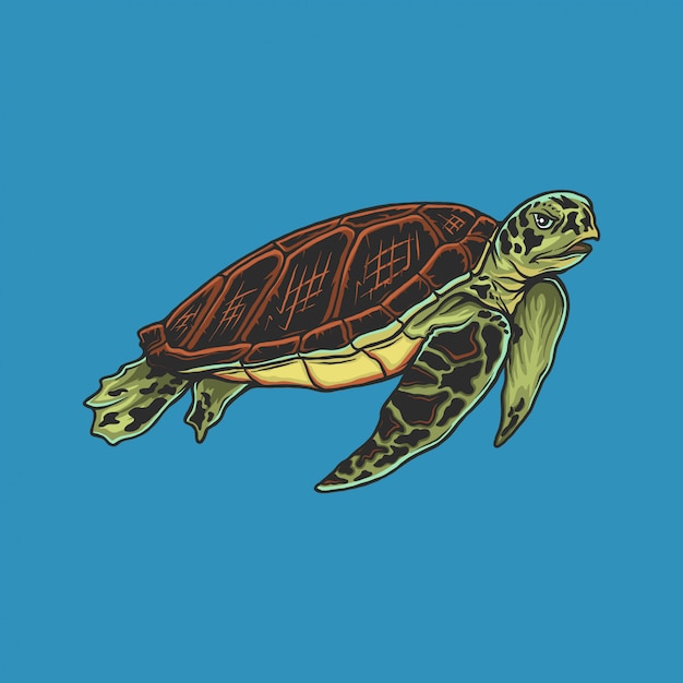 Dessin à la main illustration de tortue vintage