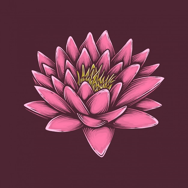 Vecteur dessin à la main illustration vectorielle de fleur de lotus vintage