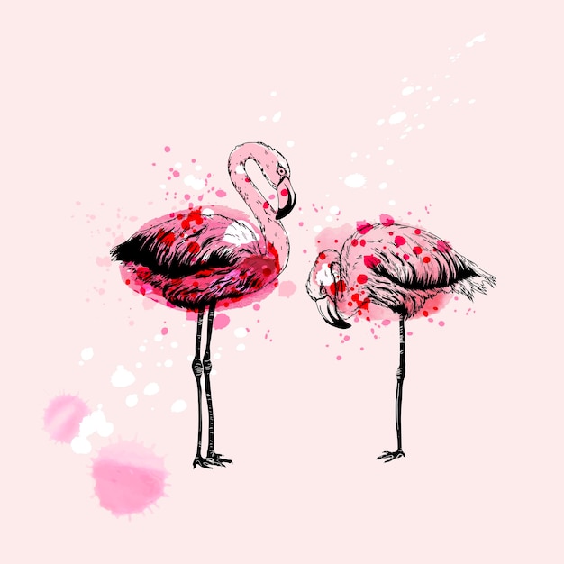 Vecteur dessin à la main des oiseaux flamingo