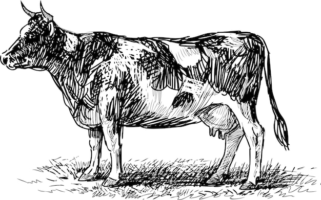 Dessin à La Main De Vache Tachetée