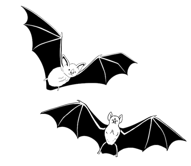 Vecteur dessin d'une mignonne chauve-souris volante mammifère nocturne animal mascotte pour l'halloween