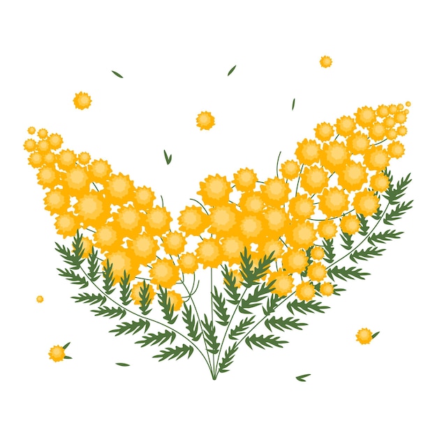 Dessin de mimosa de fleurs colorées dans un style plat. Plante florale en fleurs de printemps isolée sur le dos blanc