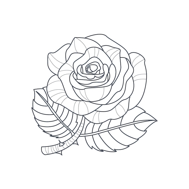 Dessin monochrome de fleur rose pour livre de coloriage