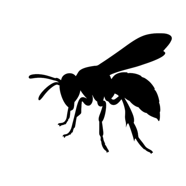 Vecteur un dessin en noir et blanc d'une abeille
