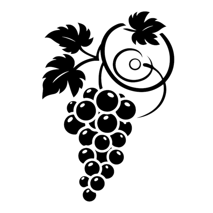 Vecteur un dessin en noir et blanc d'un bouquet de raisins
