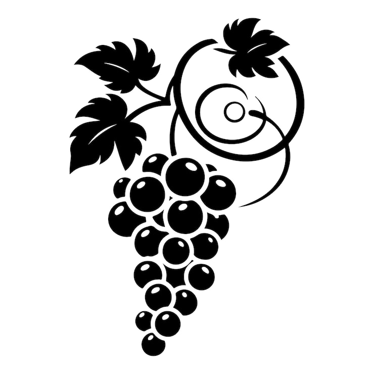 Vecteur un dessin en noir et blanc d'un bouquet de raisins