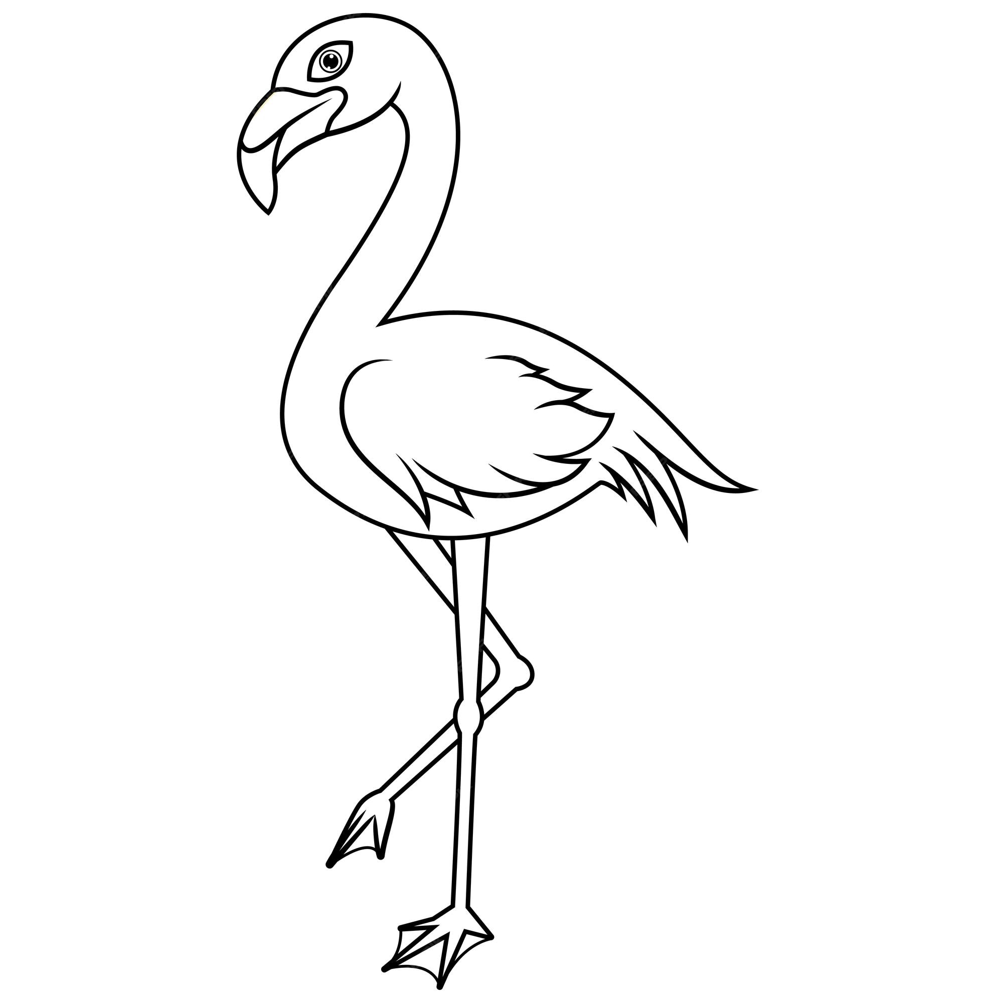 Flamant Rose Dessin Noir Et Blanc