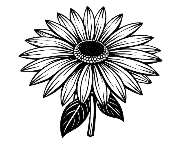 Vecteur un dessin en noir et blanc d'une fleur avec un contour noir