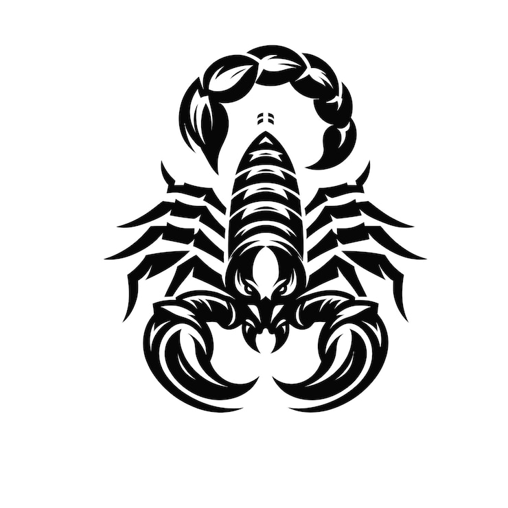 Vecteur un dessin en noir et blanc d'un homard avec un contour noir