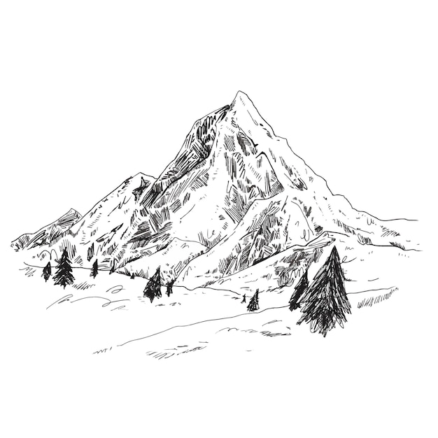 Dessin noir et blanc d'une montagne avec des pins