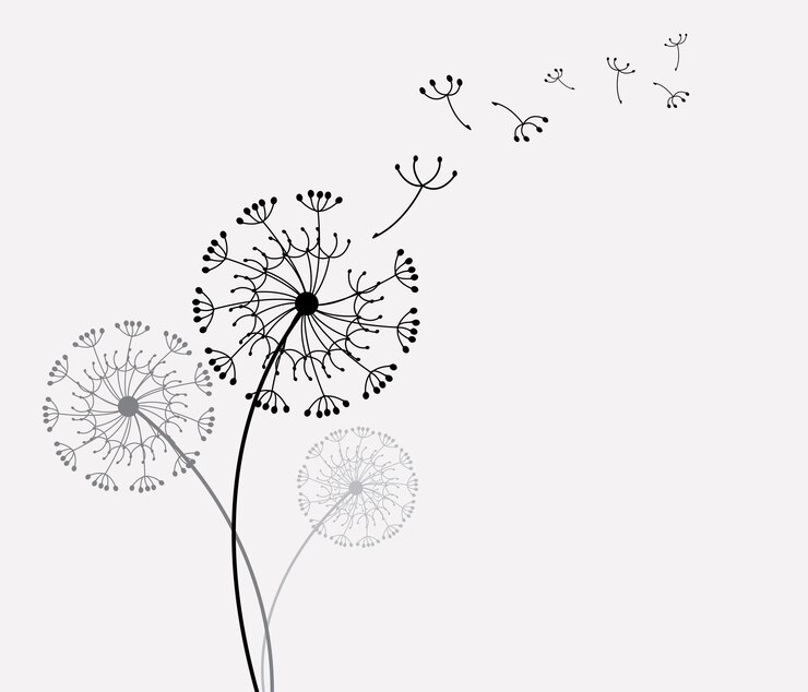 Vecteur un dessin de pissenlits et de pisenlits avec les mots pisinlits sur un fond blanc