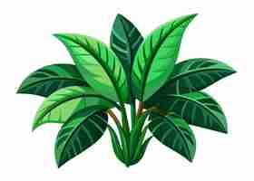 Vecteur un dessin d'une plante avec des feuilles vertes