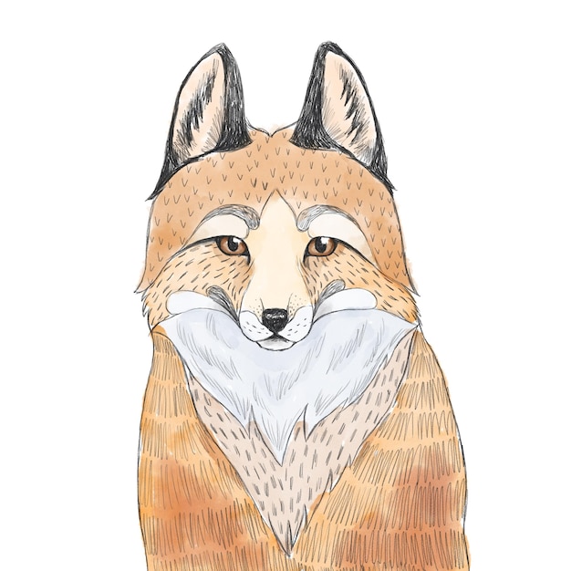 Vecteur un dessin d'un renard avec une barbe blanche