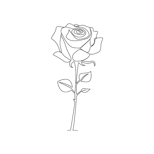 Un Dessin D'une Rose Blanche Avec Un Contour Noir