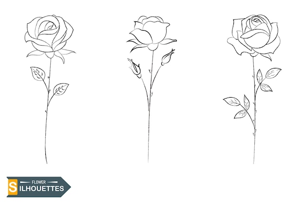 Vecteur un dessin de roses avec le titre 'créer une fleur'