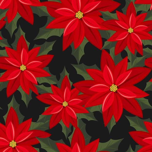 Dessin Sans Soudure De Fleurs De Noël Poinsettia.