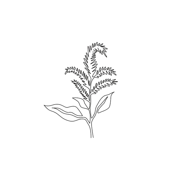 Vecteur dessin d'une seule ligne de famaranthus de beauté pour un logo vecteur de conception de fleur d'amarante décorative
