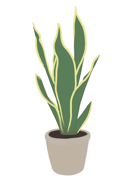 dessin simple de plante en pot