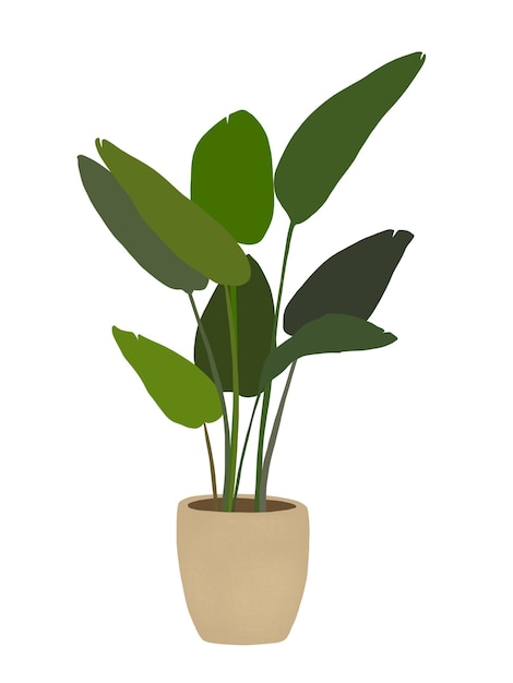 Dessin Simple De Plante En Pot