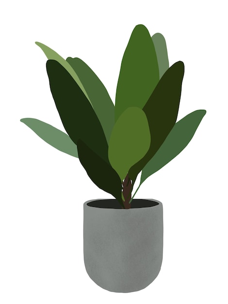 dessin simple de plante en pot