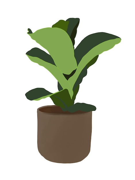 dessin simple de plante en pot