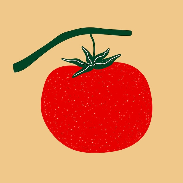 Vecteur un dessin d'une tomate