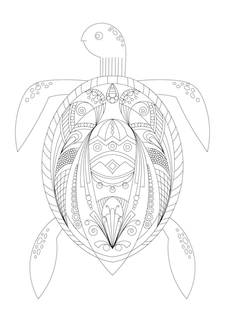 Dessin Tortue Zentangle Pour Coloriage