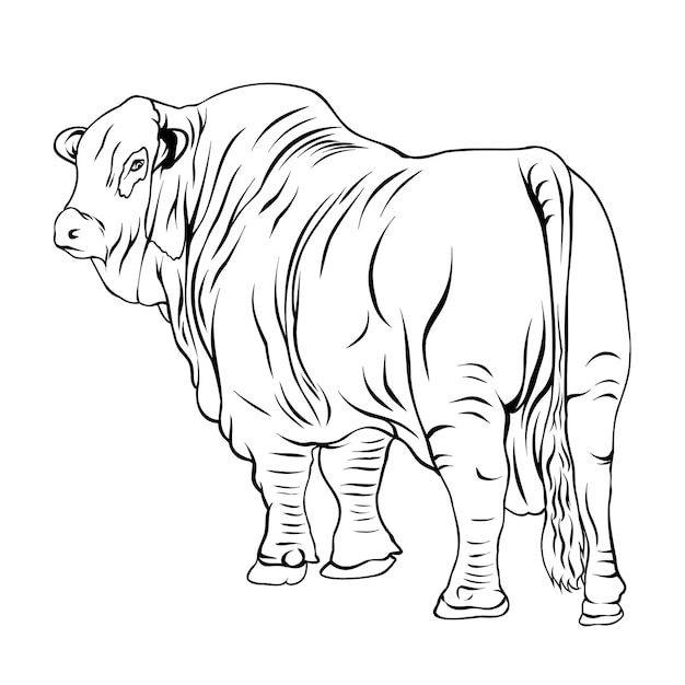 Un Dessin D'une Vache Avec Un Dessin Noir Et Blanc D'un Taureau