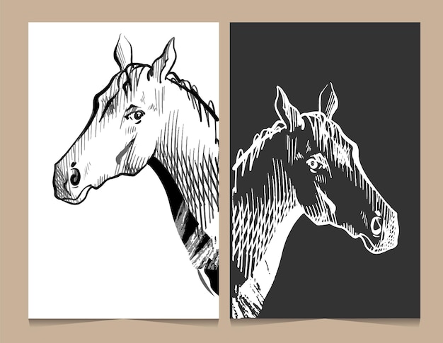 Dessin Vectoriel D'un Cheval Avec Doublure Noire Sur Fond Blanc Et Le Négatif