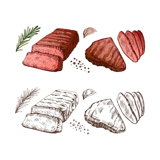 Dessin Vectoriel Coloré à La Main De Steaks De Bœuf Grillés Avec Du Romarin Et De L'ail