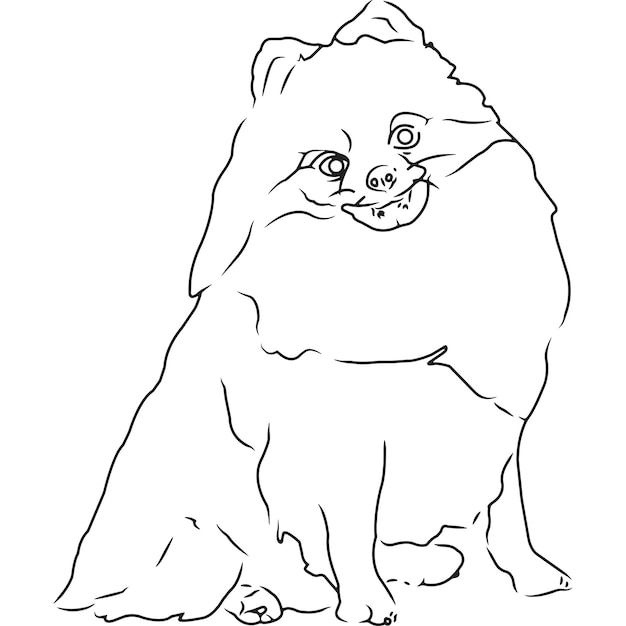 Dessin Vectoriel Esquissé à La Main De Chien Spitz Allemand