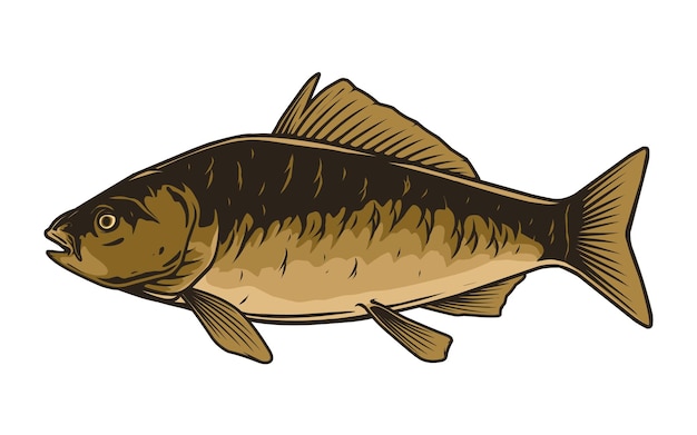 Vecteur dessin vectoriel de poisson carpe