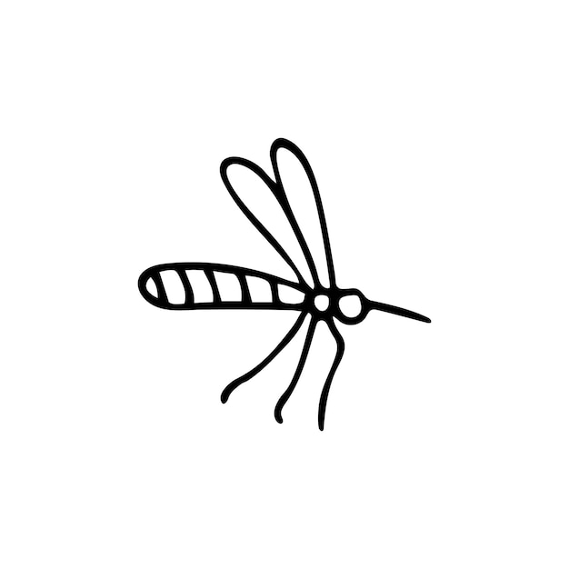 Dessiné à La Main Doodle Moustique Vecteur Insecte Clipart Contour