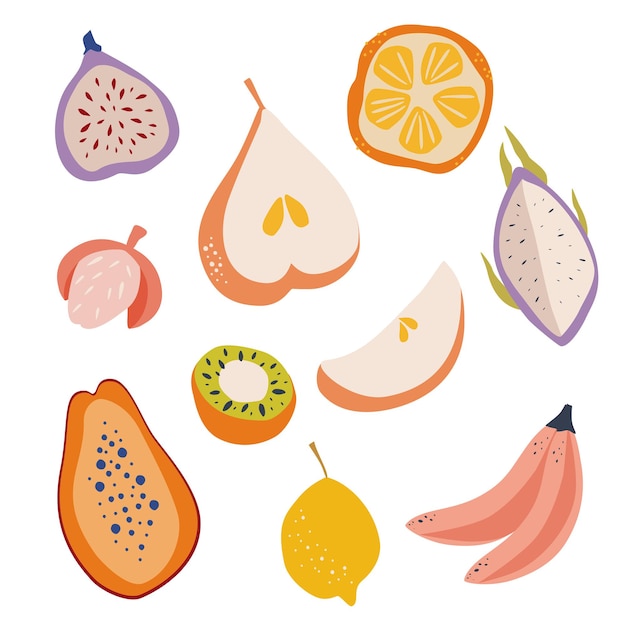 Dessiner à la main des fruits exotiques. Poire, papaye, fruit du dragon, orange, citron, litchi et bananes. Végétalien, ferme, illustration d'aliments naturels. Fruits sucrés tropicaux de vecteur.