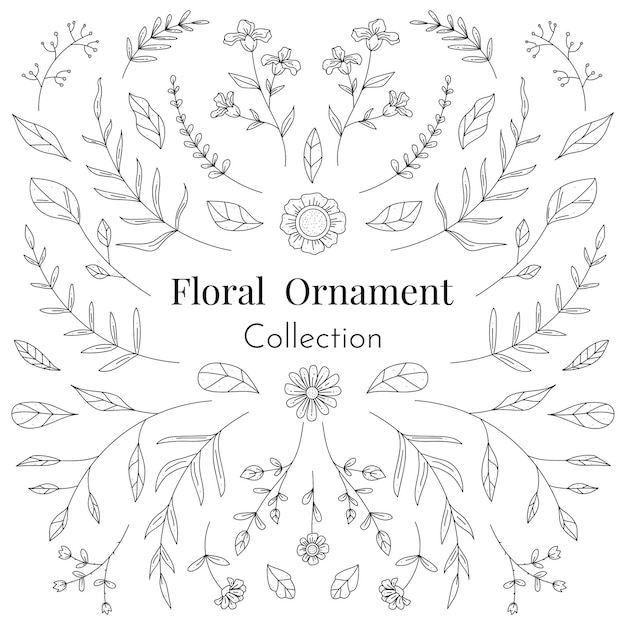 Vecteur dessinés à la main de la collection d'ornements floraux pour mariage et décoration