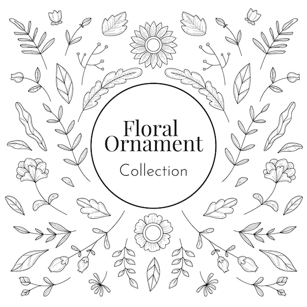 Dessinés à La Main De La Collection D'ornements Floraux Pour Mariage Et Décoration