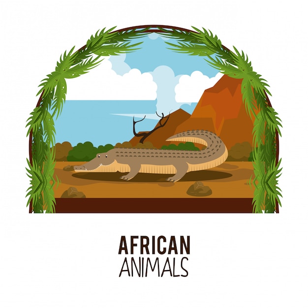 Vecteur dessins animés d'animaux africains