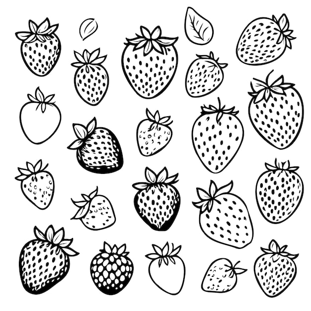 Vecteur des dessins de fraises, des fruits frais, des aliments sains.