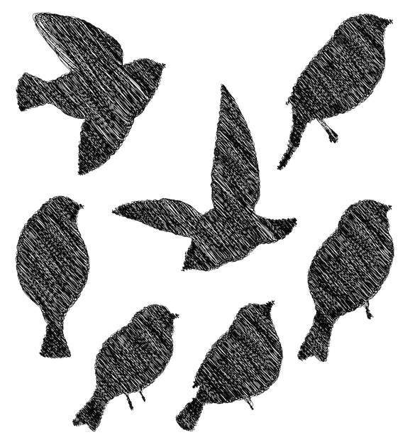 Dessins de gribouillis vectoriels d'oiseaux abstraits de silhouettes définies