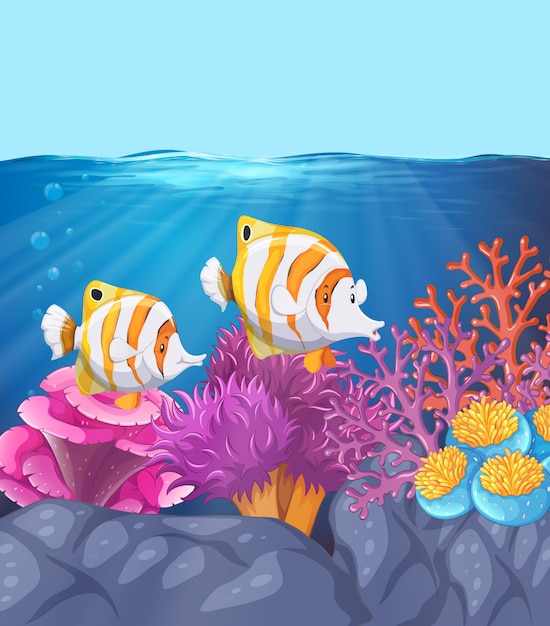 Deux beaux poissons sous l&#39;eau