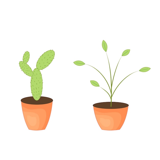 Deux Cactus Verts Dans Une Illustration Vectorielle De Pot